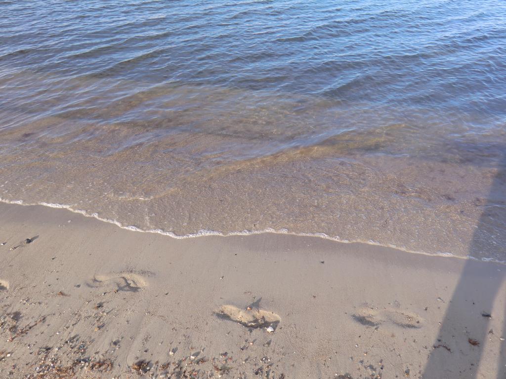 Boeltser Hus Ferienwohnungen Mit Strandkorb Und Kamin 10 Gehminuten Zum Kurtaxefreien Sandstrand Kraksdorf Exterior foto